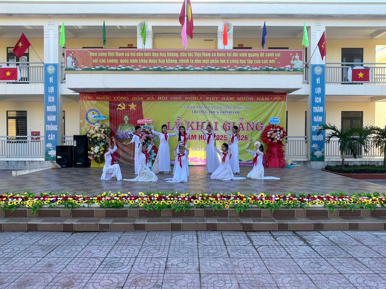 vn6